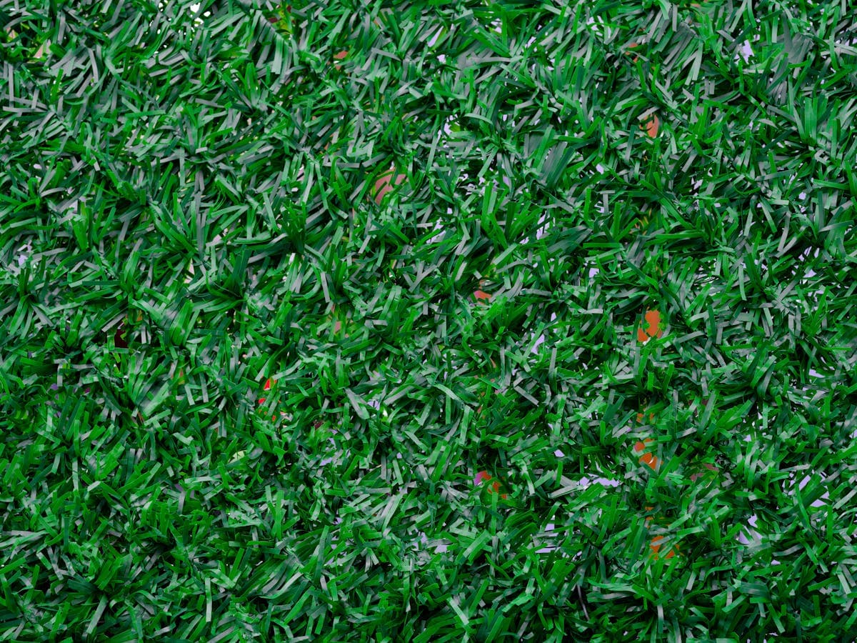 Carlos's Artificial Turf in Pasadena