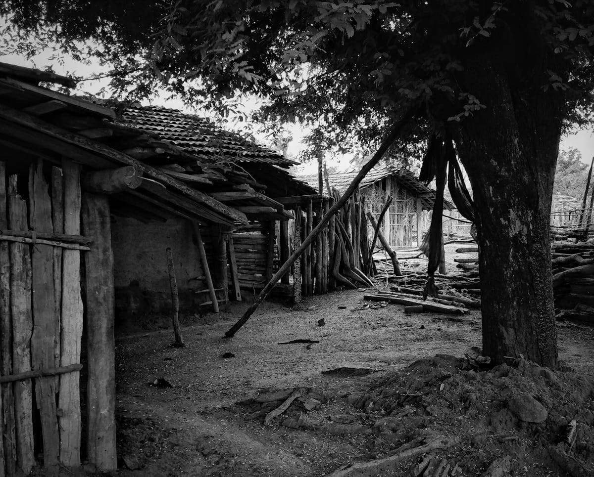 Before — David's Outdoor Kitchens in Burbank